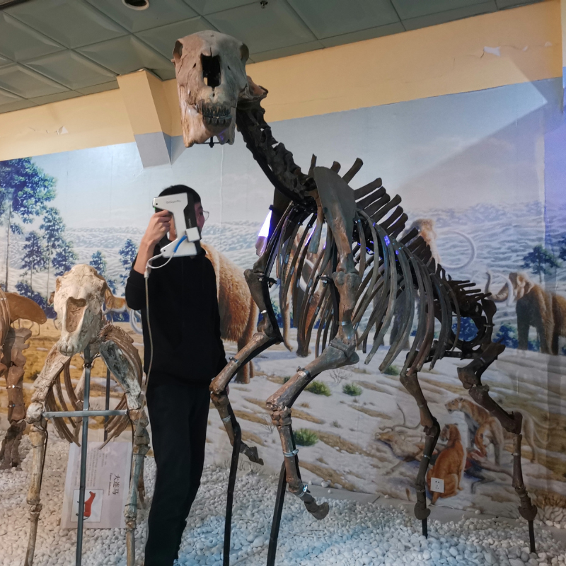 三维扫描-线上数字博物馆